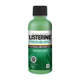 Picture of Listerine Mw 100ml Freshburst Indo